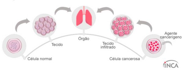 Representação visual de células e tecidos normais e cancerígenos. Segue longa descrição: